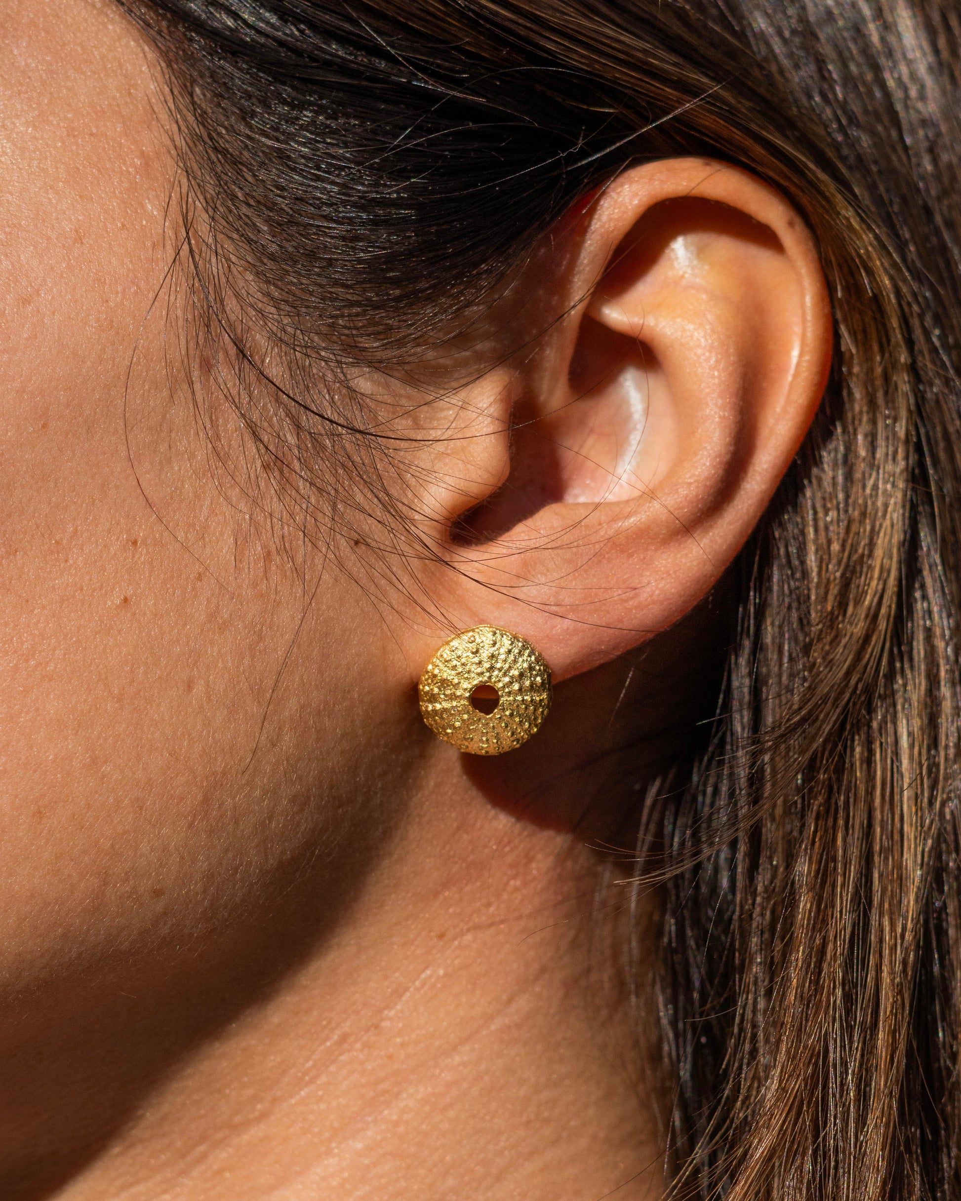 Minimal Hedgehog Mini Set