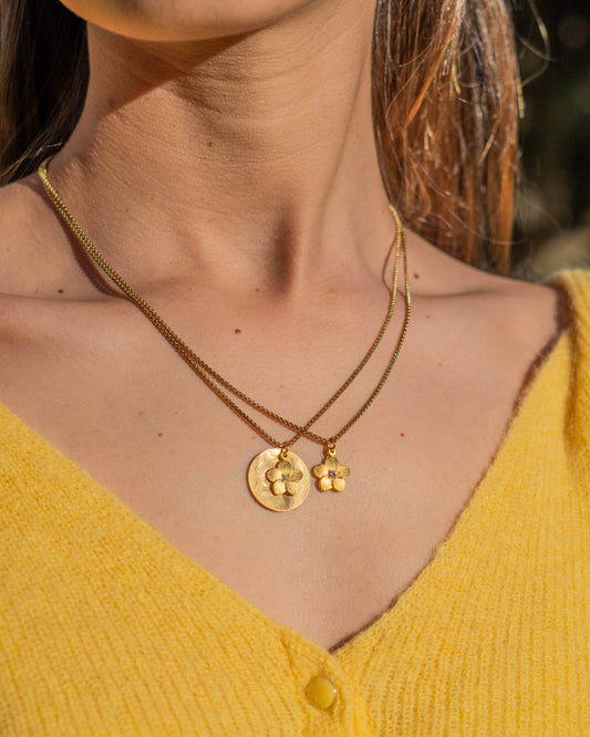 Conjunto Flores Primaveris