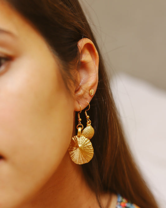 Conjunto under the sea